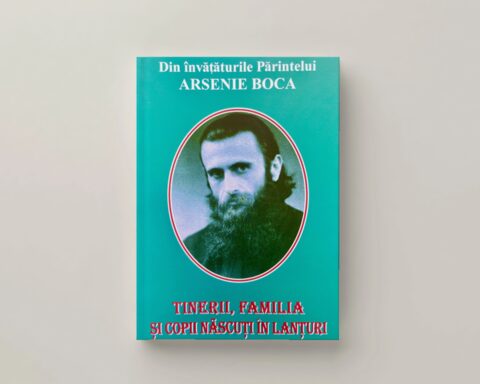 Coperta cărții „Tinerii, familia și copii născuți în lanțuri”